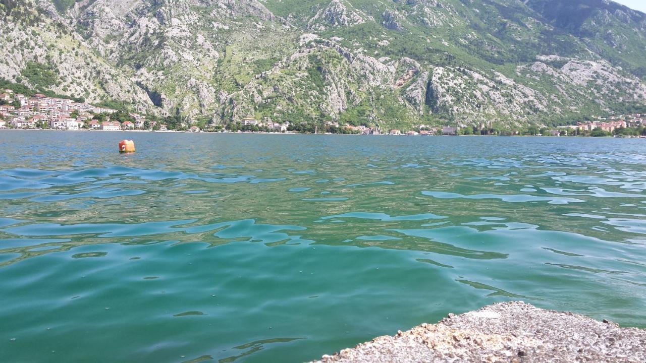 Apartment Radovic Kotor Exteriér fotografie